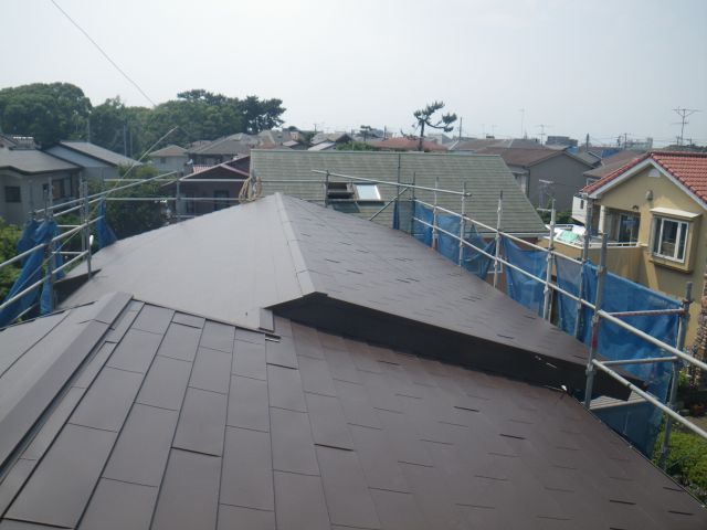 IMGP2867_640.jpg