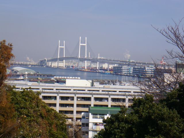 IMGP5342_640.jpg