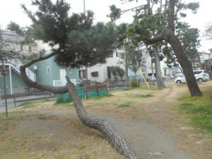 DSCN9066