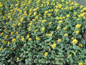 DSCN1055_01