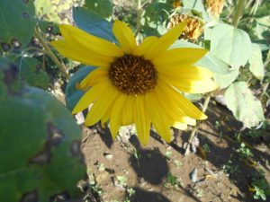 DSCN1058