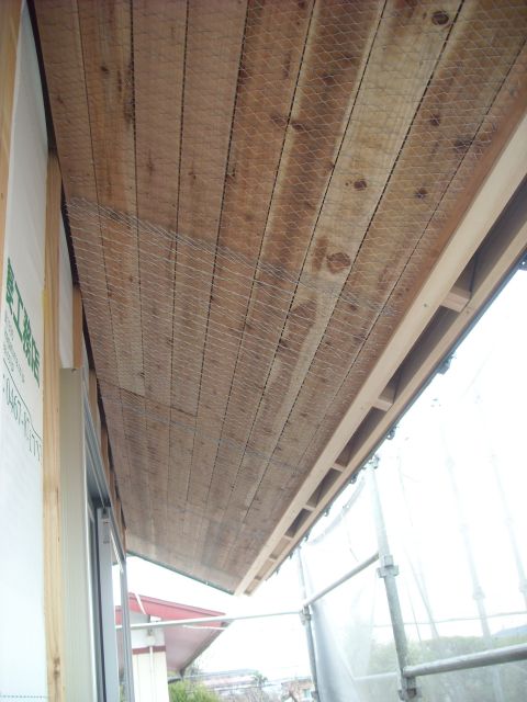 DSCN0002_640.jpg