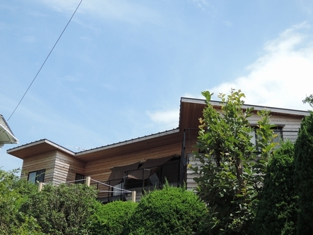 DSCN1646-.jpg