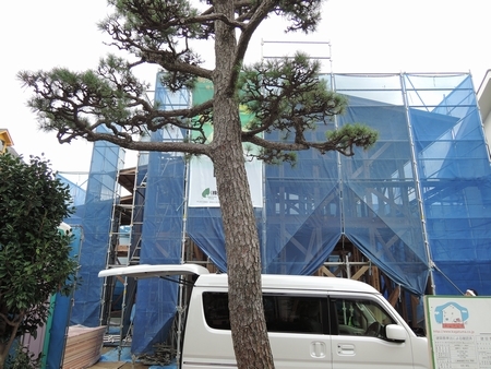 DSCN1780-.jpg