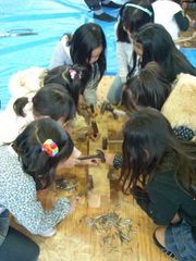 DSCN8446_400.jpg