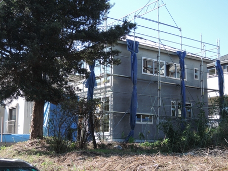 DSCN8698.jpg