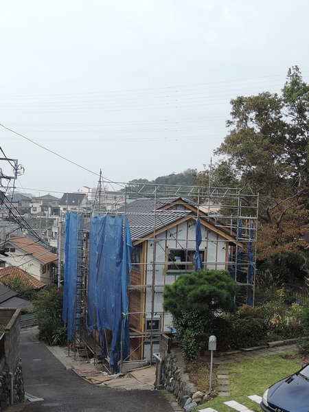 DSCN9019.jpg