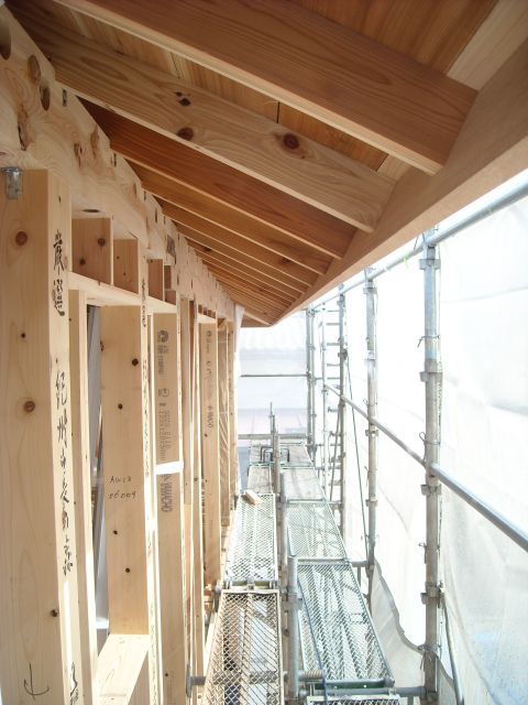 DSCN9086_640.jpg