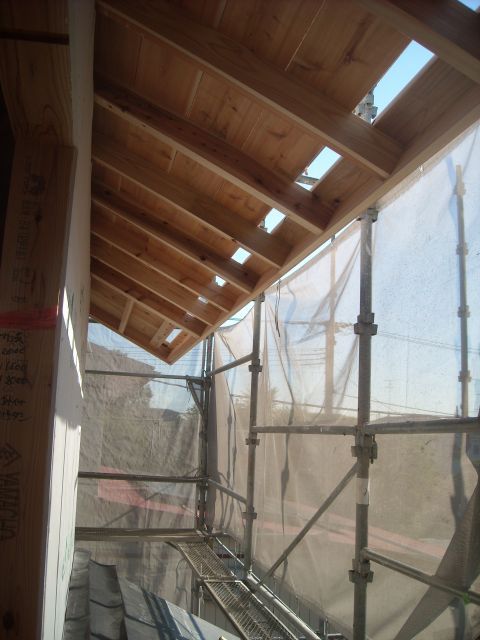 DSCN9862_640.jpg