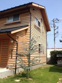 IMG_0637_640.jpg