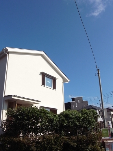 RIMG13526trim2.jpg