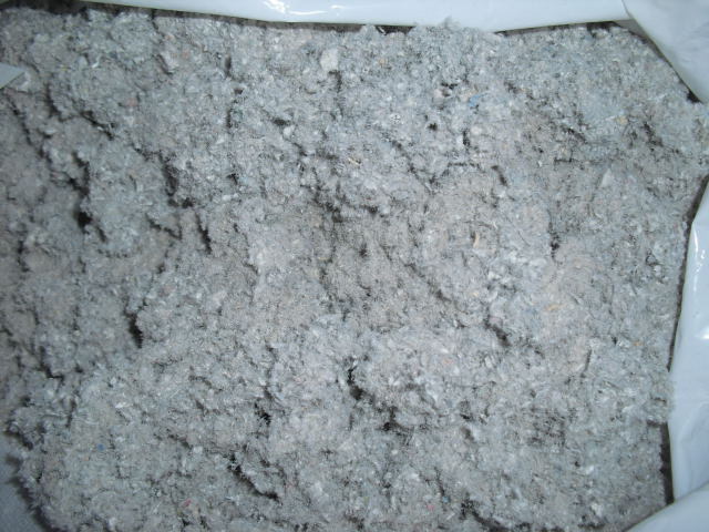 CIMG0565.jpg