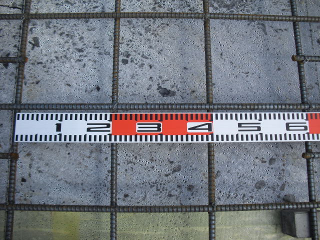 CIMG1154.jpg