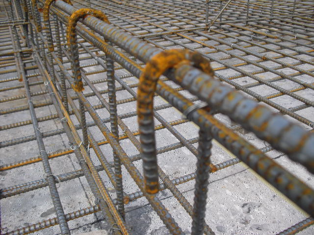 CIMG1156.jpg