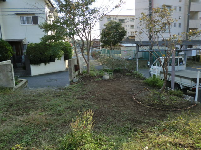 CIMG3233.jpg