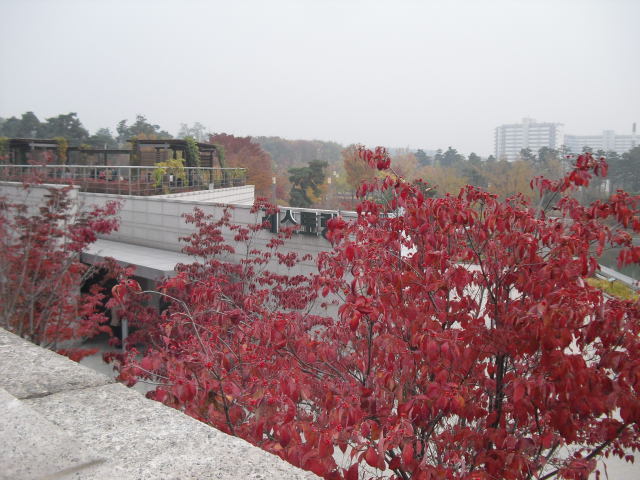 CIMG3309.jpg
