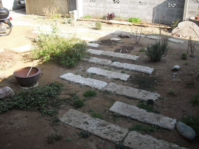 CIMG4224.jpg