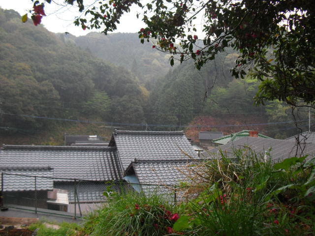 CIMG5088.jpg