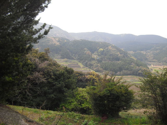 CIMG5090.jpg