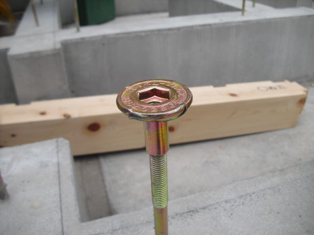 CIMG5481.jpg