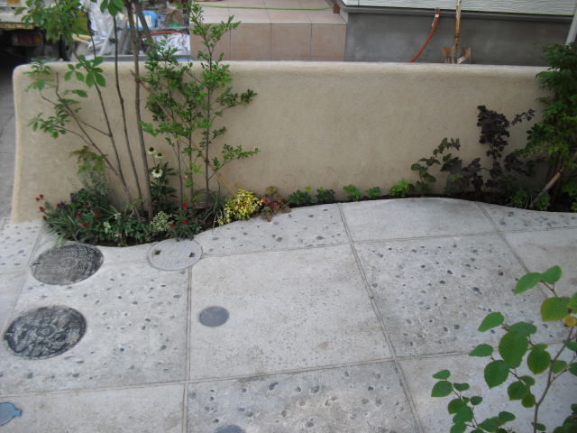 CIMG6302.jpg