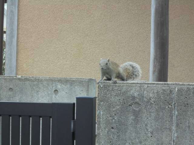 DSC00809.JPG