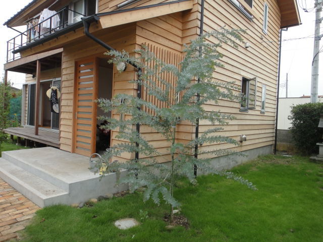 DSC00876.jpg