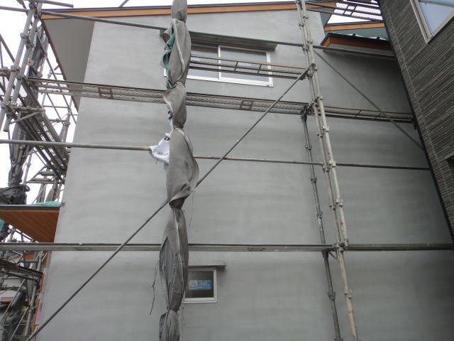 DSC01204.jpg