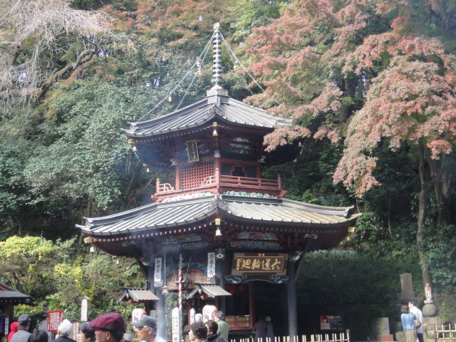 DSC01511.jpg