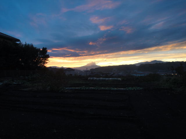DSC01592.jpg