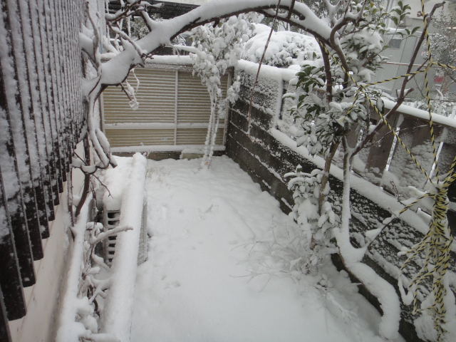 DSC02358.jpg