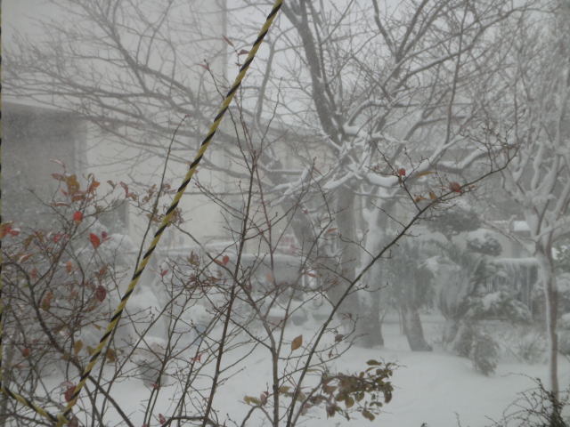 DSC02360.jpg