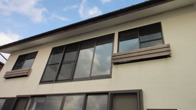 DSC03838.jpg