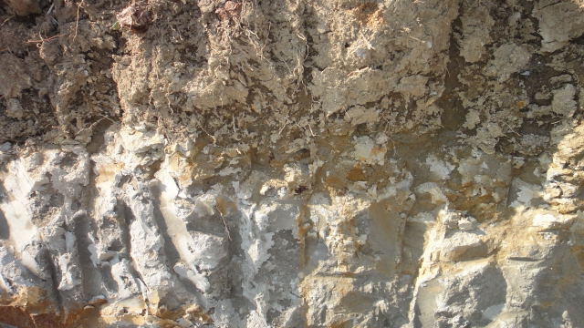 DSC03938.jpg