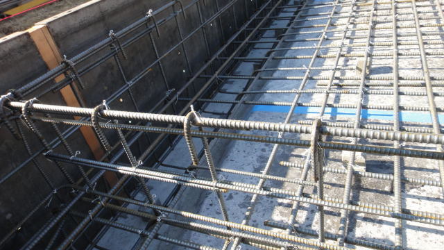 DSC04116-1.jpg