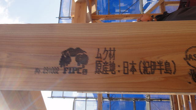 DSC04430.jpg