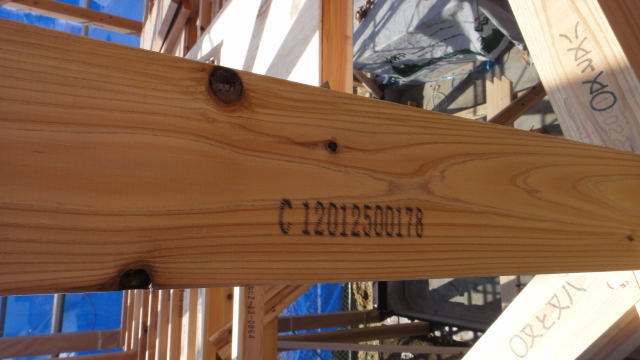 DSC04432.jpg