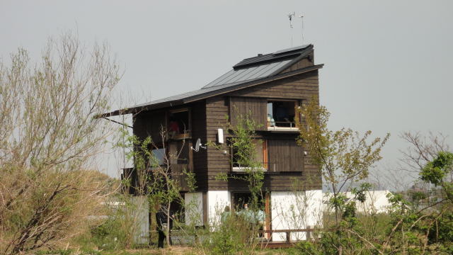 DSC04901.jpg