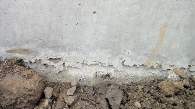 DSC05276.jpg