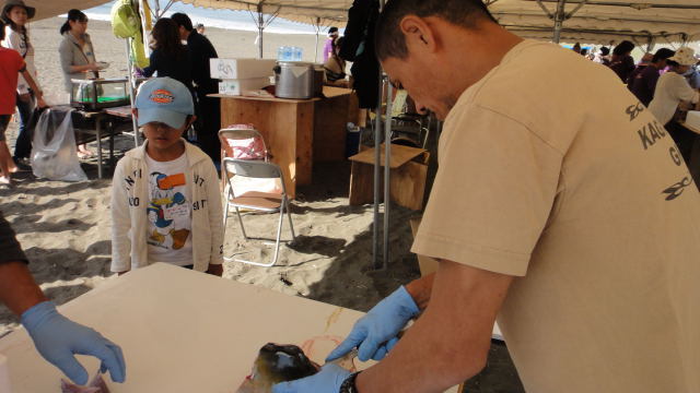 DSC07334.jpg
