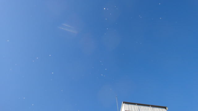 DSC07861.jpg