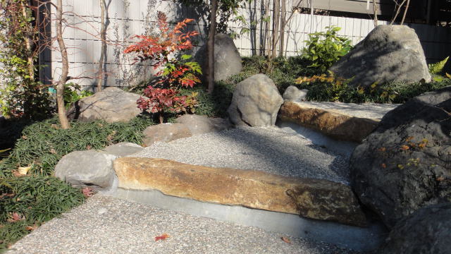 DSC08028.jpg