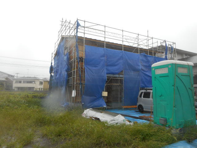 DSCN3018.JPG