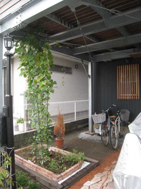 IMG_6762.JPG