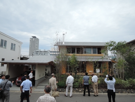 DSCN8586-.jpg