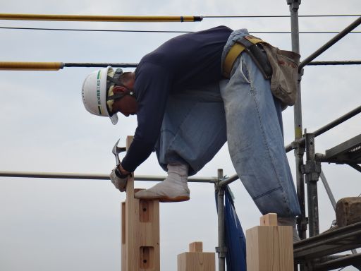 siroar%20093_512.jpg