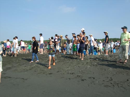 DSCF8350.jpg