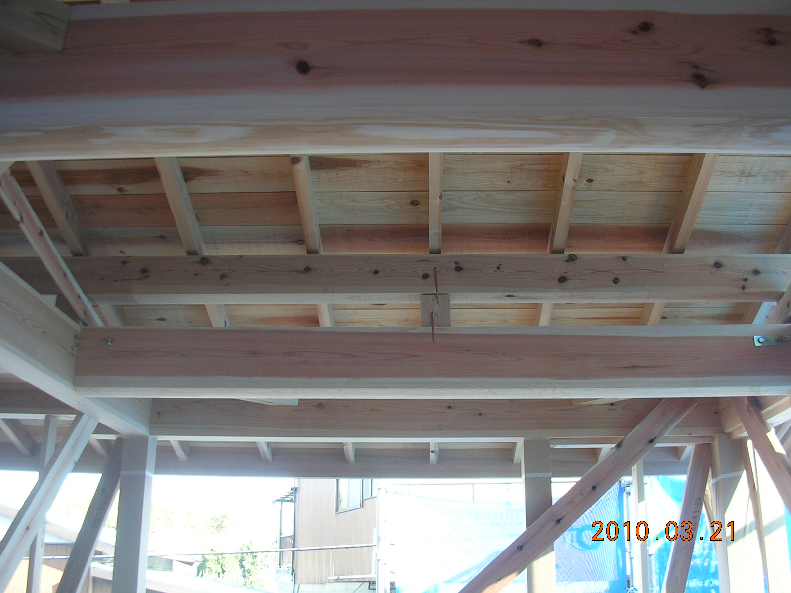 DSCN7768.JPG