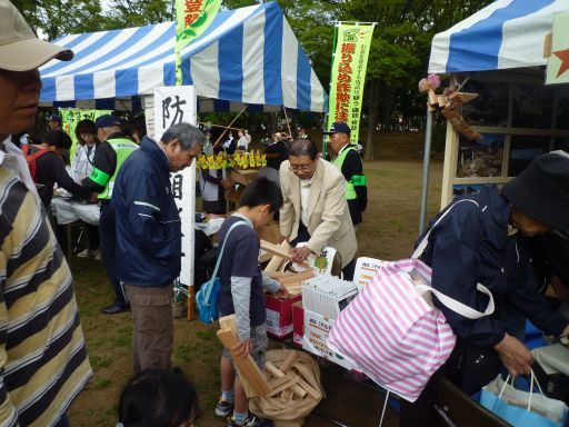 P1040396_512.jpg