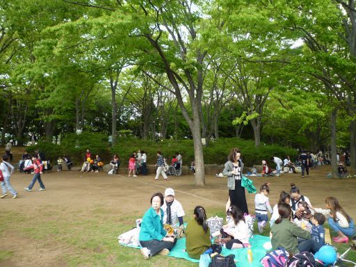 P1040411_512.jpg
